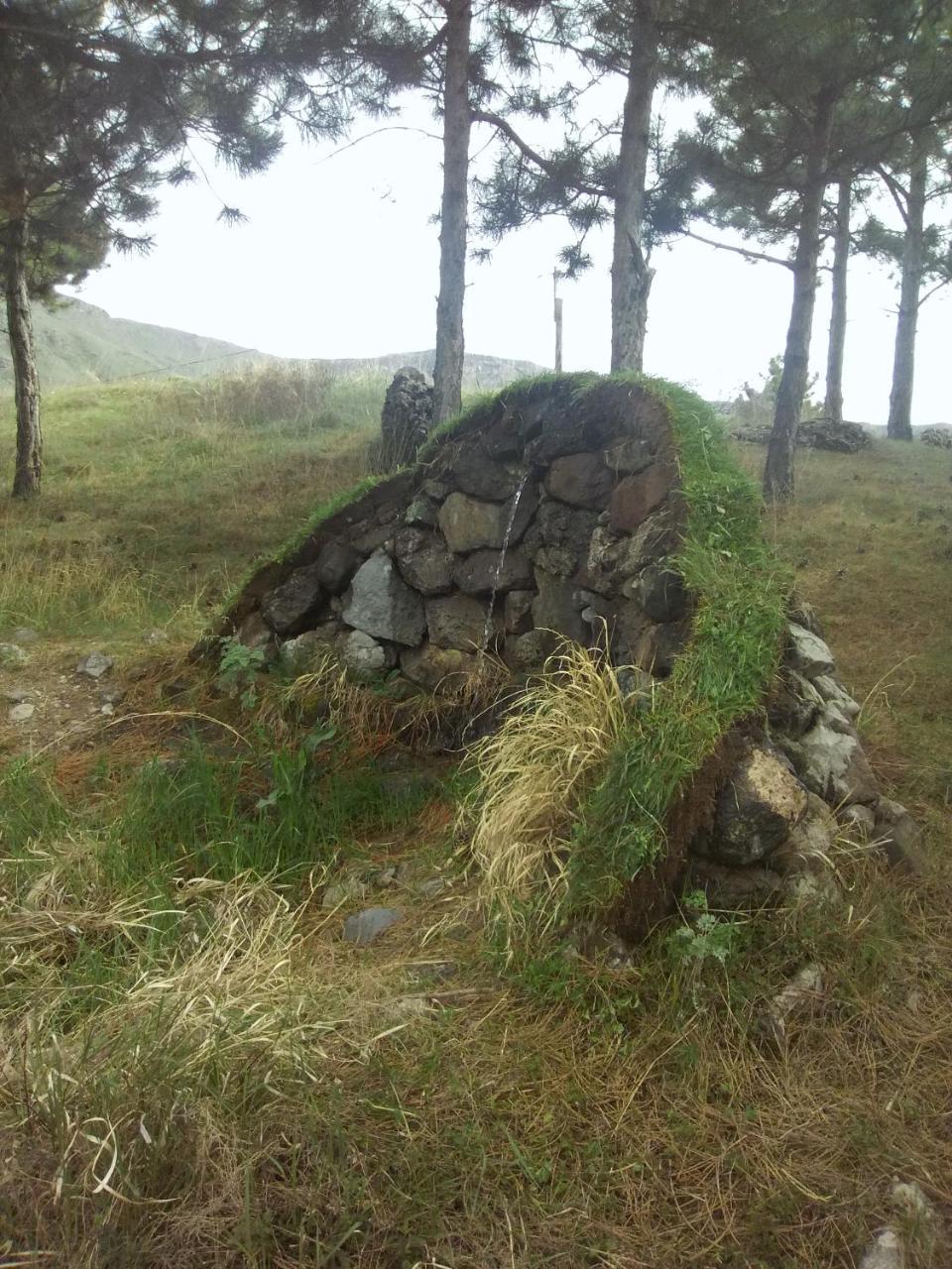 T'mogvi Wooden House ,,Tsunda" 빌라 객실 사진